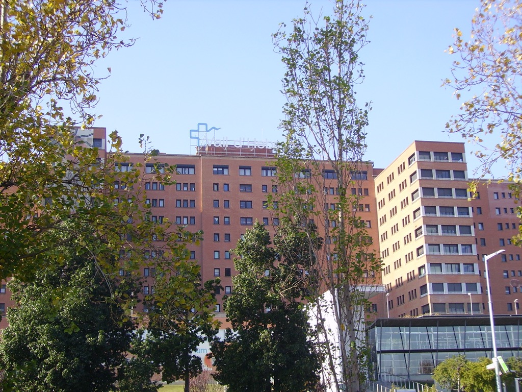 Hospital Vall Hebron 